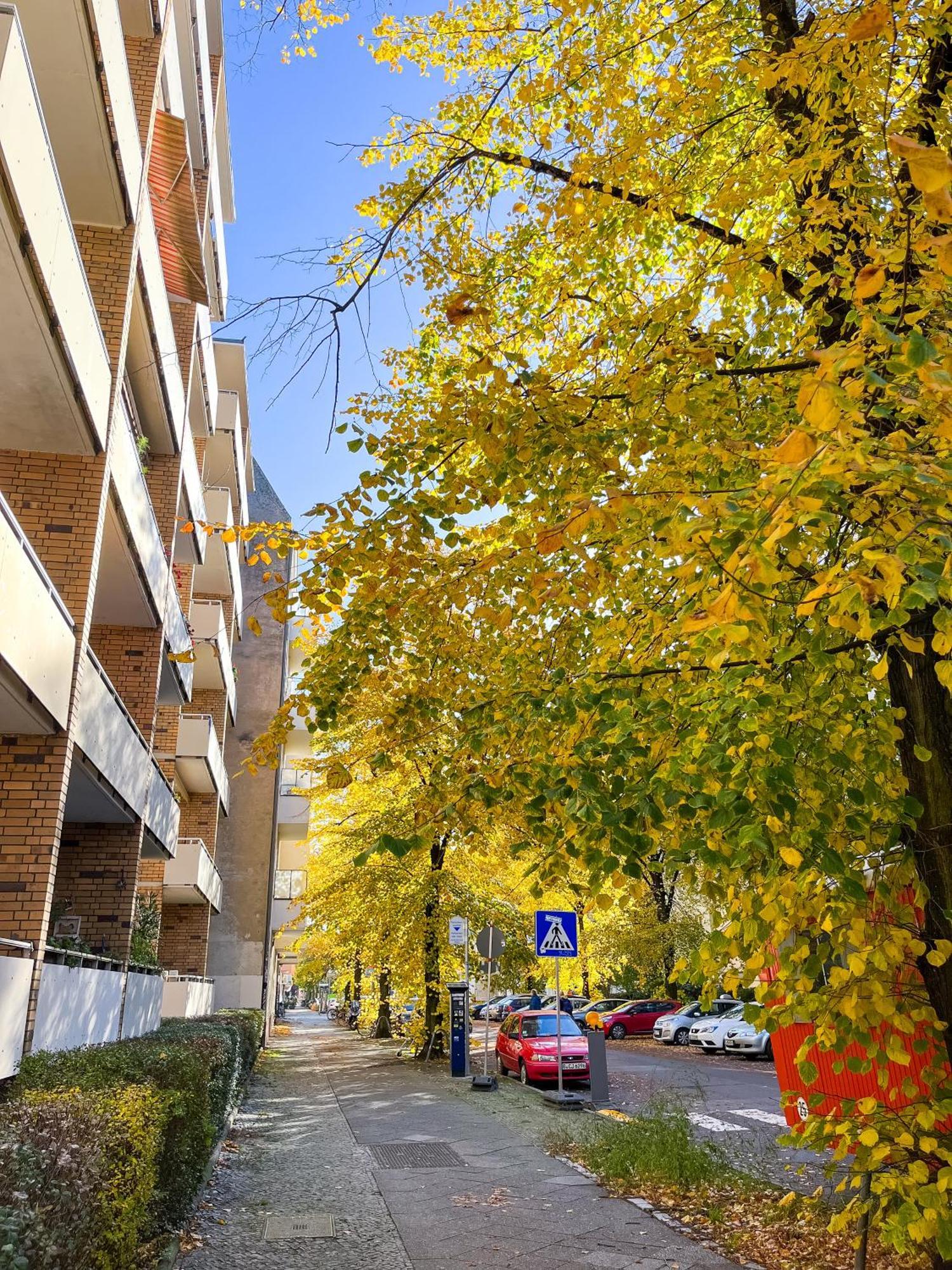 01 Bedroom In Mitte-Up To 5 People-Private Free Parking Berlin Extérieur photo